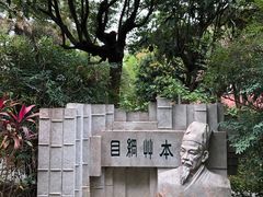 -广州神农草堂中医药博物馆