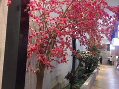-丽池宫韩式汗蒸会馆(华灯坊店)