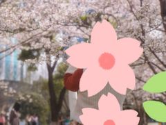 -西北湖绿化广场
