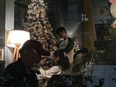 -咖法森林·咖啡  酒吧(天河店)