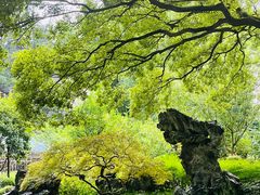 -申粤轩酒楼·三十年粤菜经典(丁香花园店)