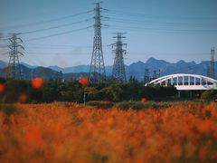 -永定河休闲森林公园