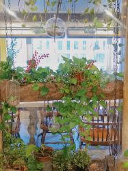 -青青一生美皮肤管理