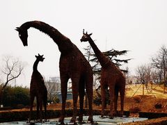 -莲花池公园