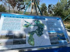-白洋淀景区