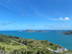 -CoCo都可(美兰湖大润发店)