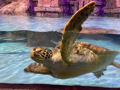 -波塞冬旅游度假区