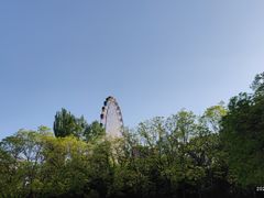 -青城公园