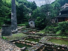 -MOJ coffee(瓯海泽雅水碓坑店)