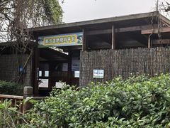 -大湾区中央湿地公园