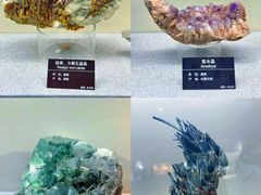 -甘肃地质博物馆