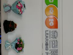 -金色雨林学习力培优(专注力提升)