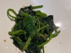 -觀芷隐轩
