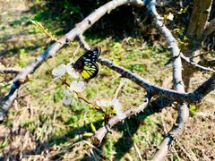 -广州市流溪河国家森林公园