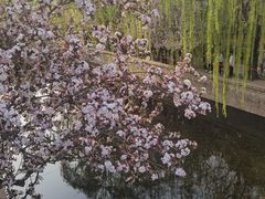 -元大都城垣遗址公园