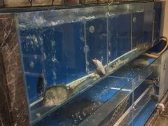 -惠丰堂饭庄·烤鸭·京味菜(西北旺·唐家岭店)