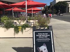 -华特·迪士尼音乐厅