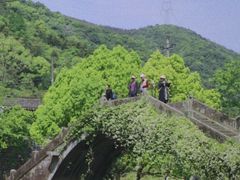 -鹿亭中村