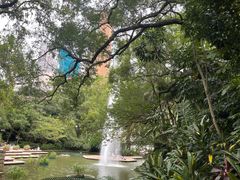 -九龙公园