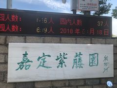 -嘉定紫藤园