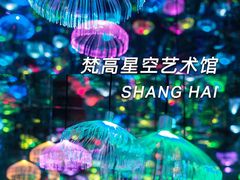 -上海梵高星空艺术馆(南京路旗舰店)