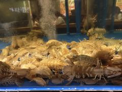 -在老街·淮安大排档·甜麻干煸龙虾·烧烤(河下古镇店)