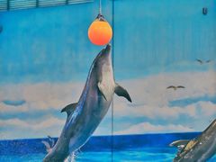 -多彩贵州城极地海洋世界