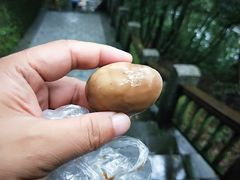 香菇茶叶蛋-金盆阿嬷香菇茶叶蛋(玄光店)