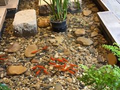 -邈墨茶馆(大兜路1号店)