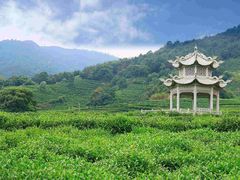 -午潮山国家森林公园