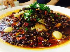 -大眼锅贴饺子(河西店)