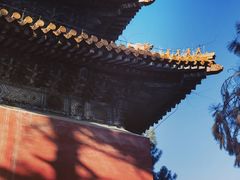 -沈阳市东陵公园