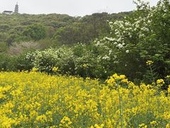 -苏州上方山国家森林公园