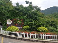 -亚龙湾热带天堂森林公园