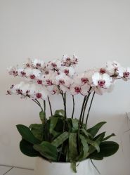 -颜蕾医美·黄金微针·水光·玻尿酸·超声炮·抗衰中心