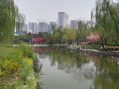 -兰州马子禄牛肉面(文景公园店)