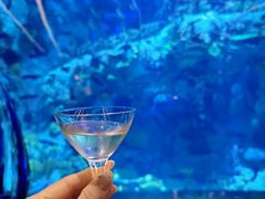 -迪拜帆船酒店海底餐厅