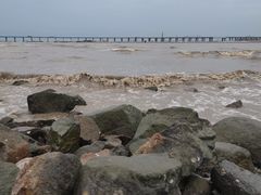 -宝安西湾红树林湿地公园