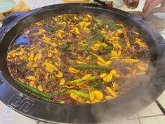 -费明中罗非鱼(大石坝店)