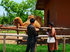 -祥源·阜阳生态乐园