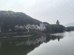 -团城山公园