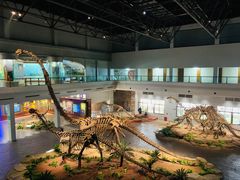 -自贡恐龙博物馆