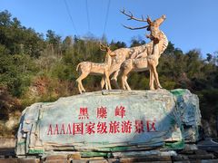 -长沙黑麋峰国家森林公园