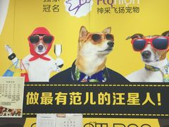 -神采飞扬宠物美容(香港路店)