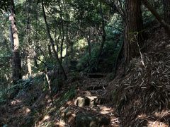 -南山植物园