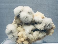 -湖南省地质博物馆