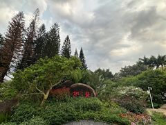 -荔枝公园(福田区)