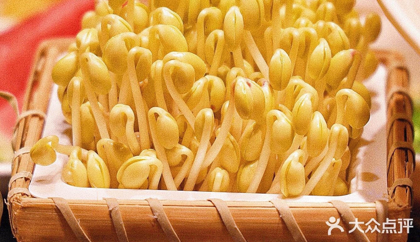 年末聚餐不知道去哪里?当然【巴奴毛肚火锅】!