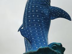-珠海长隆海洋王国