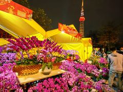 -文华公园(禅城区)